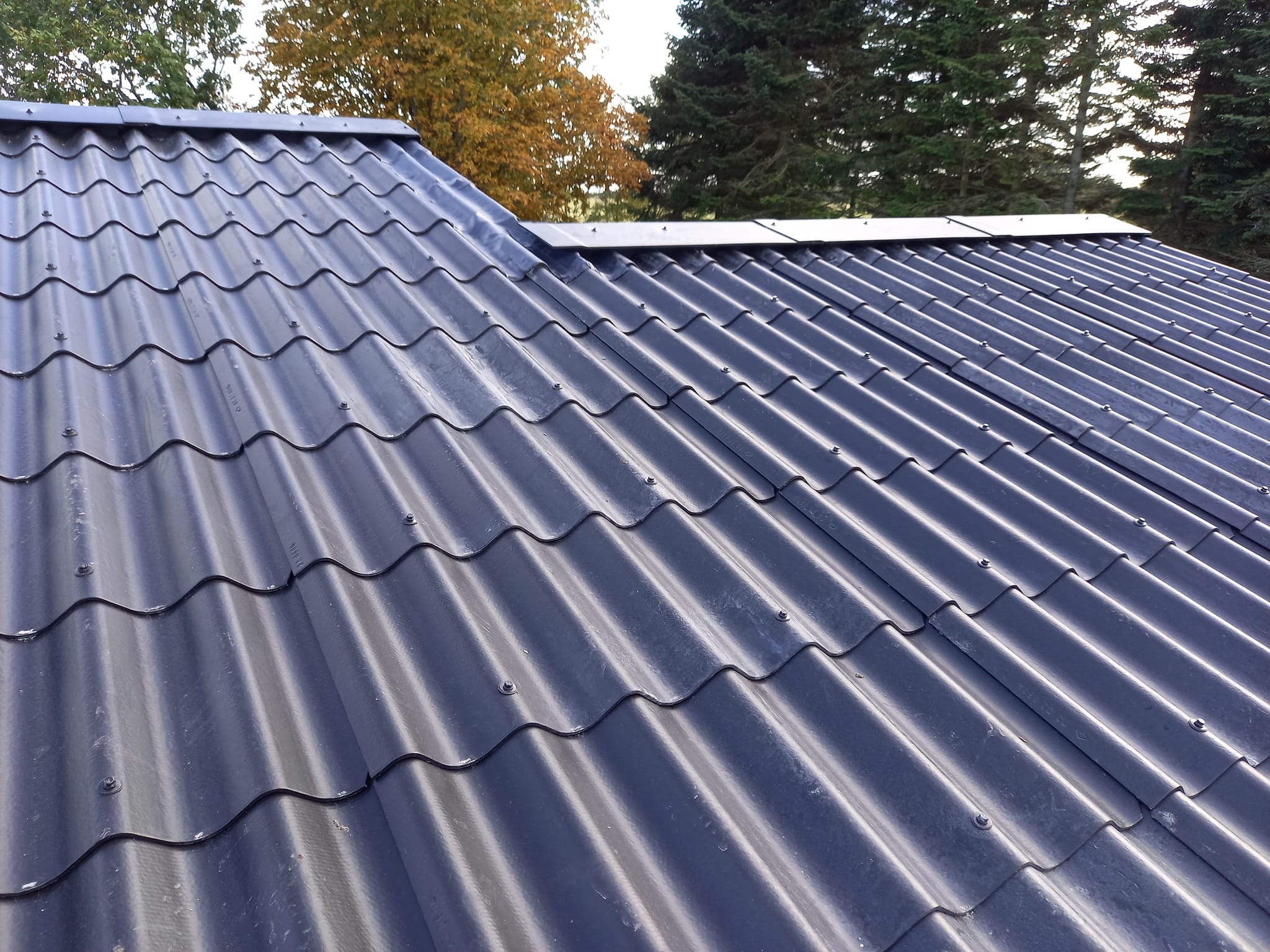 tag nyt tag nyt tag pris